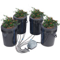 4-bucket DWC hydroponic grow system with pump, air stones, and drip tubing
