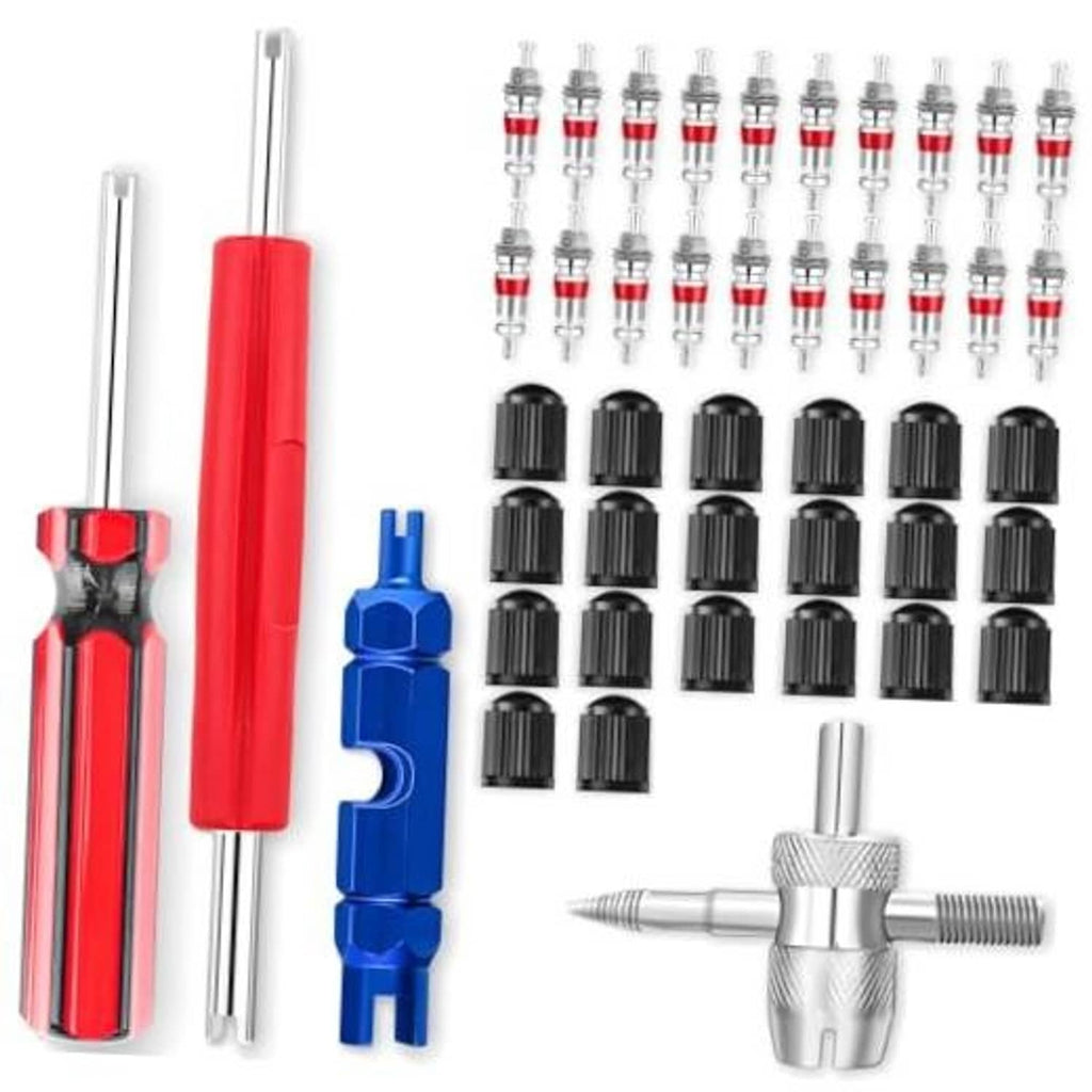 Valve core tool kit with red handle, blue insert tool, and multiple black core caps