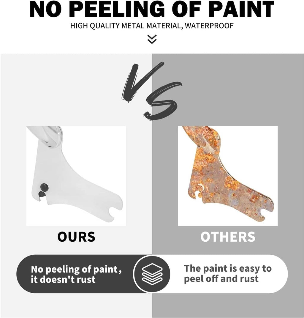 Chrome sissy bar backrest with black pad, paint protection comparison graphic