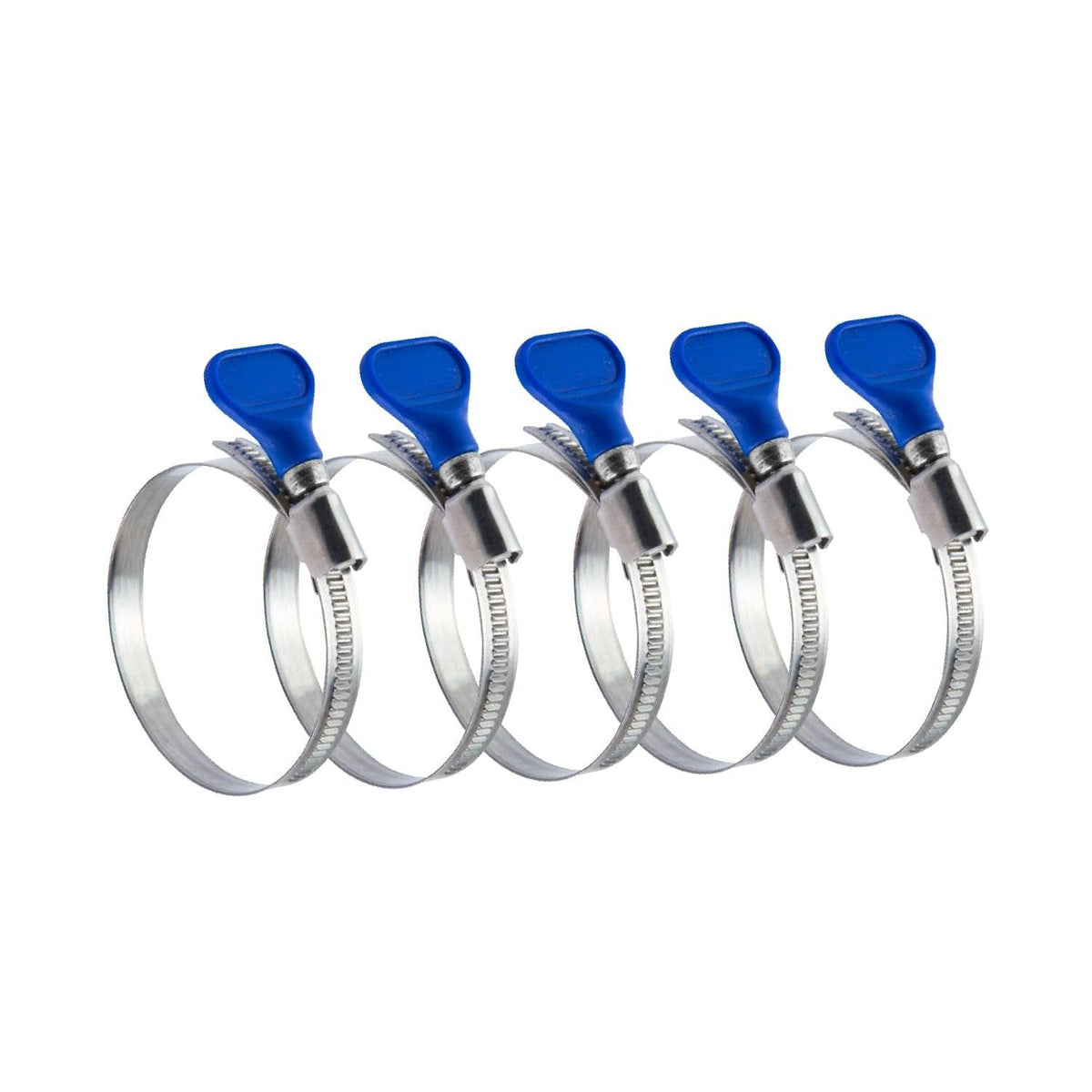 Set of five 2-1/2 in blue key hose clamps with steel band and butterfly key.