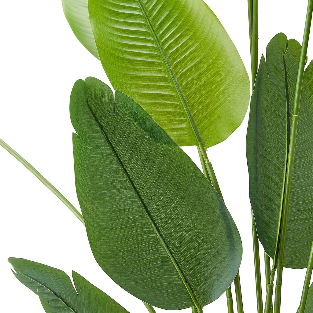 Faux bird of paradise leaves on green stems