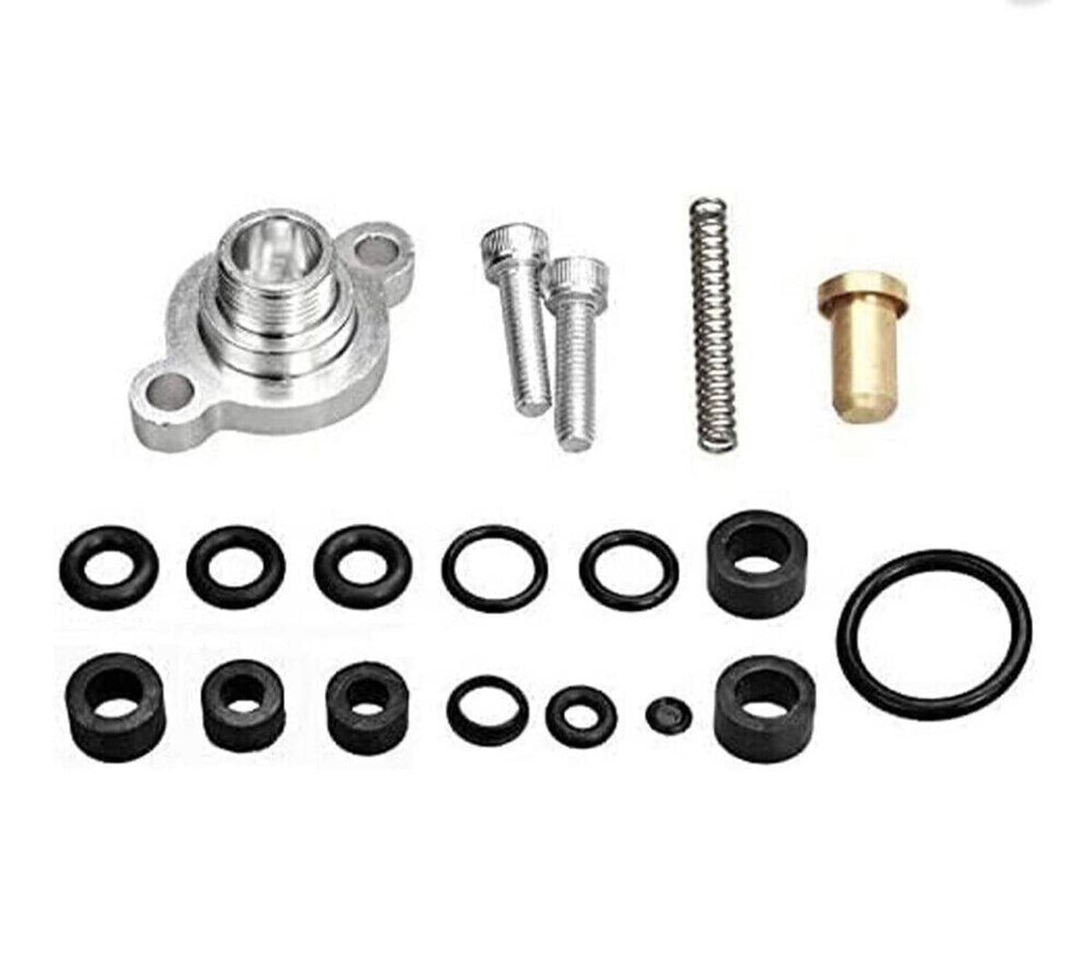 Fuel pressure regulator kit with valve body, bolts, spring, brass cap, and O-ring seals