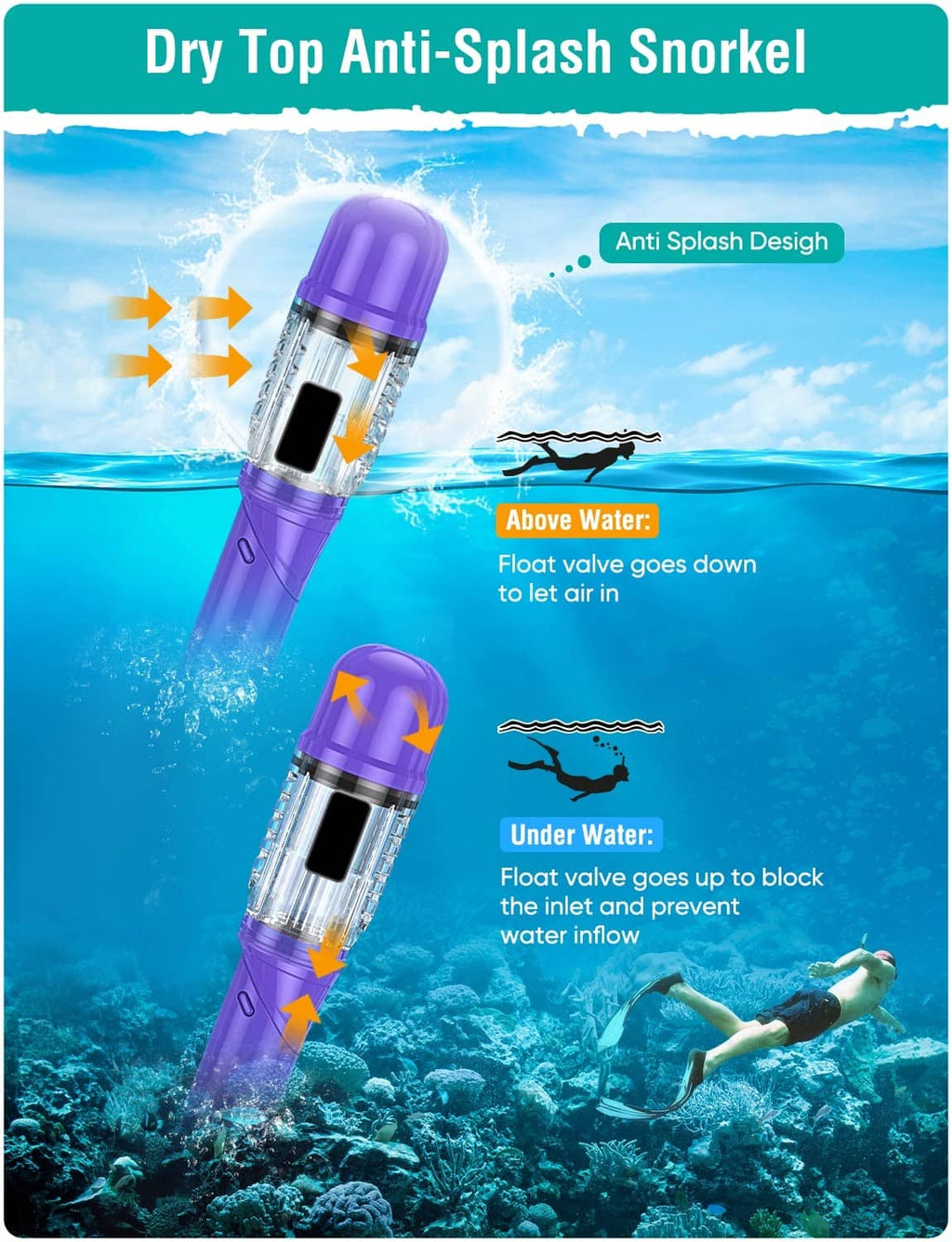 Dry-top anti-splash snorkeling snorkel with purple top and clear tube