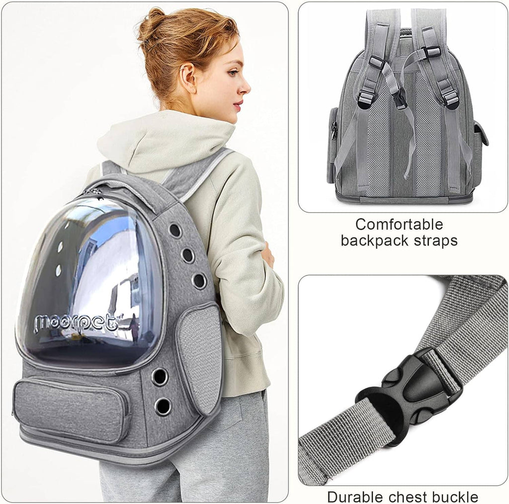 Gray cat bubble backpack carrier worn with adjustable shoulder straps and chest buckle.