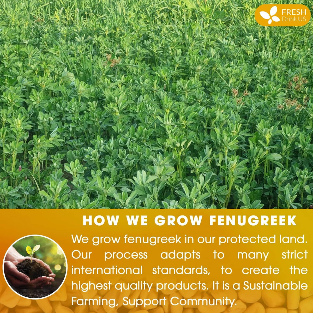 Fenugreek herb field background with a grow message overlay