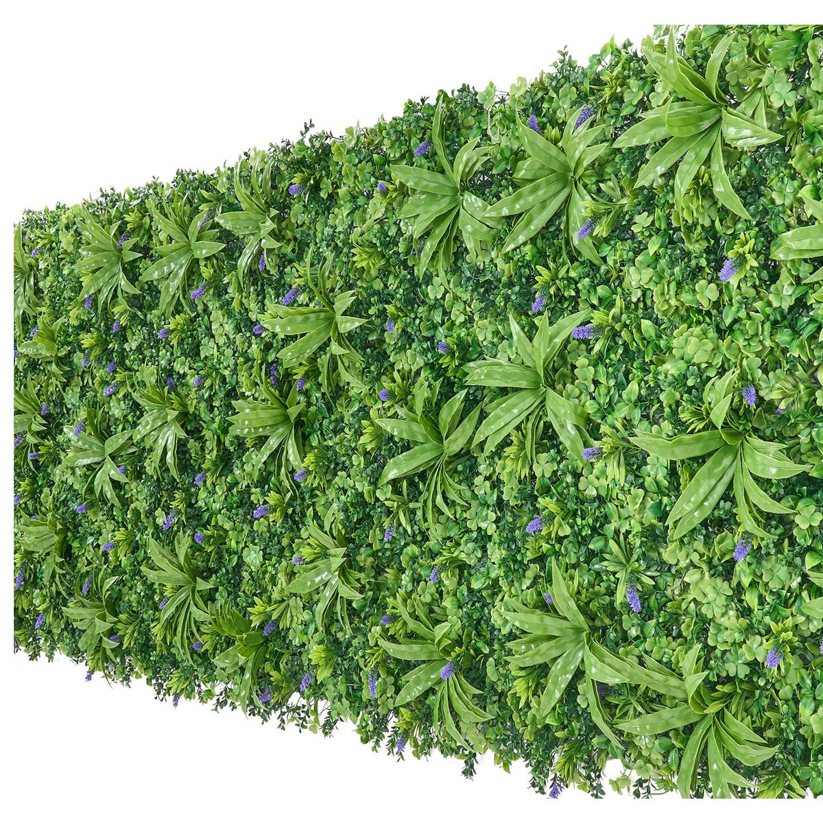 Artificial greenery wall panel with dense green boxwood leaves, trimmed edge
