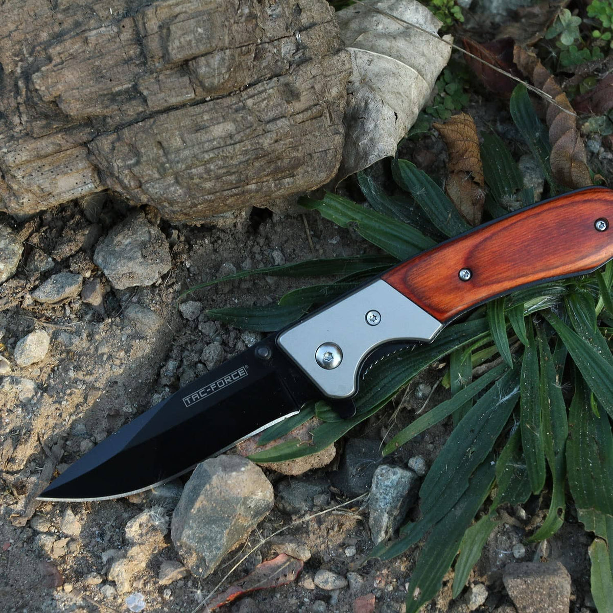 Tac-Force folding pocket knife on rocks, wood handle, black blade with liner lock