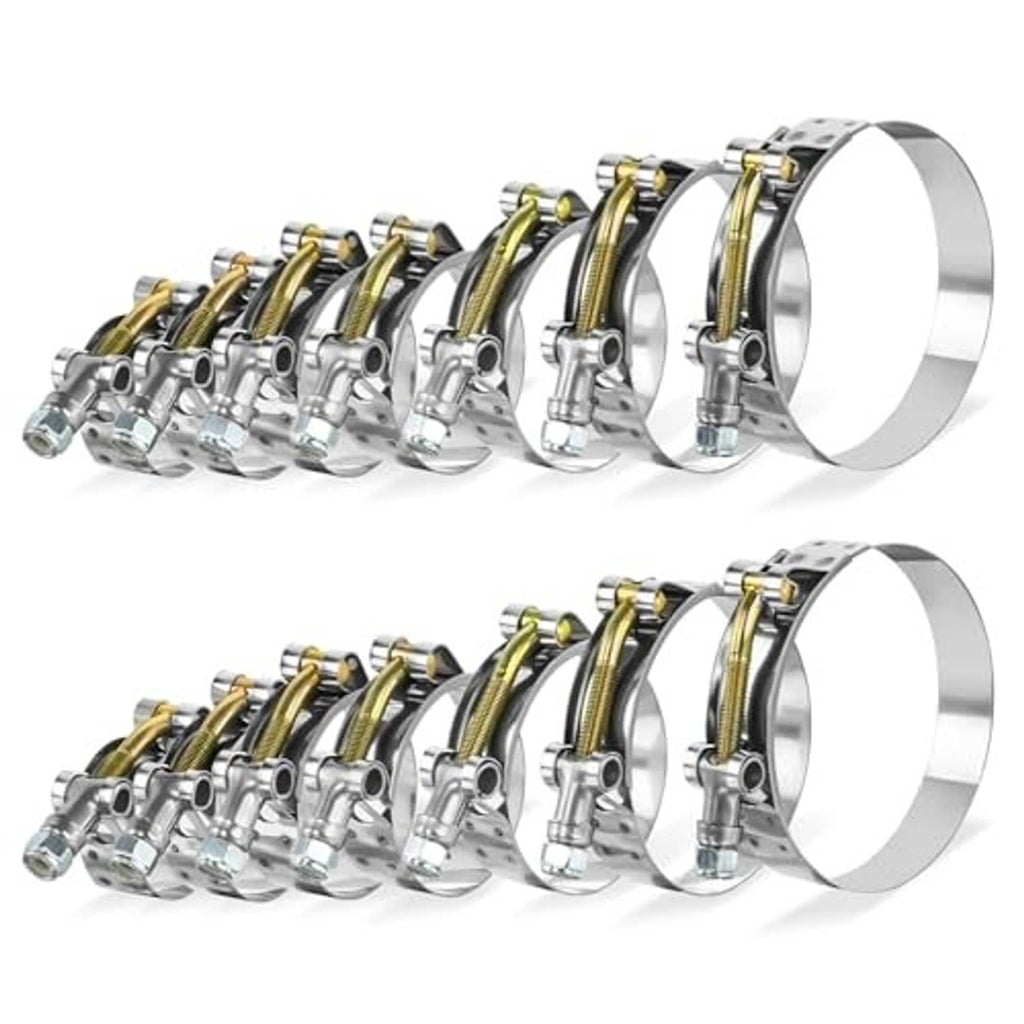 T-bolt hose clamp set shown in two rows, chrome hardware with gold bands
