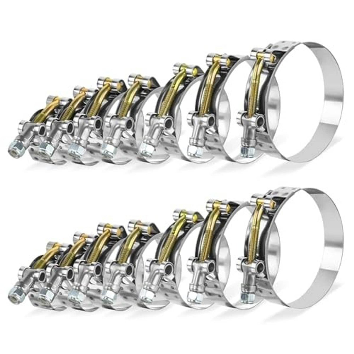 T-bolt hose clamp set shown in two rows, chrome hardware with gold bands