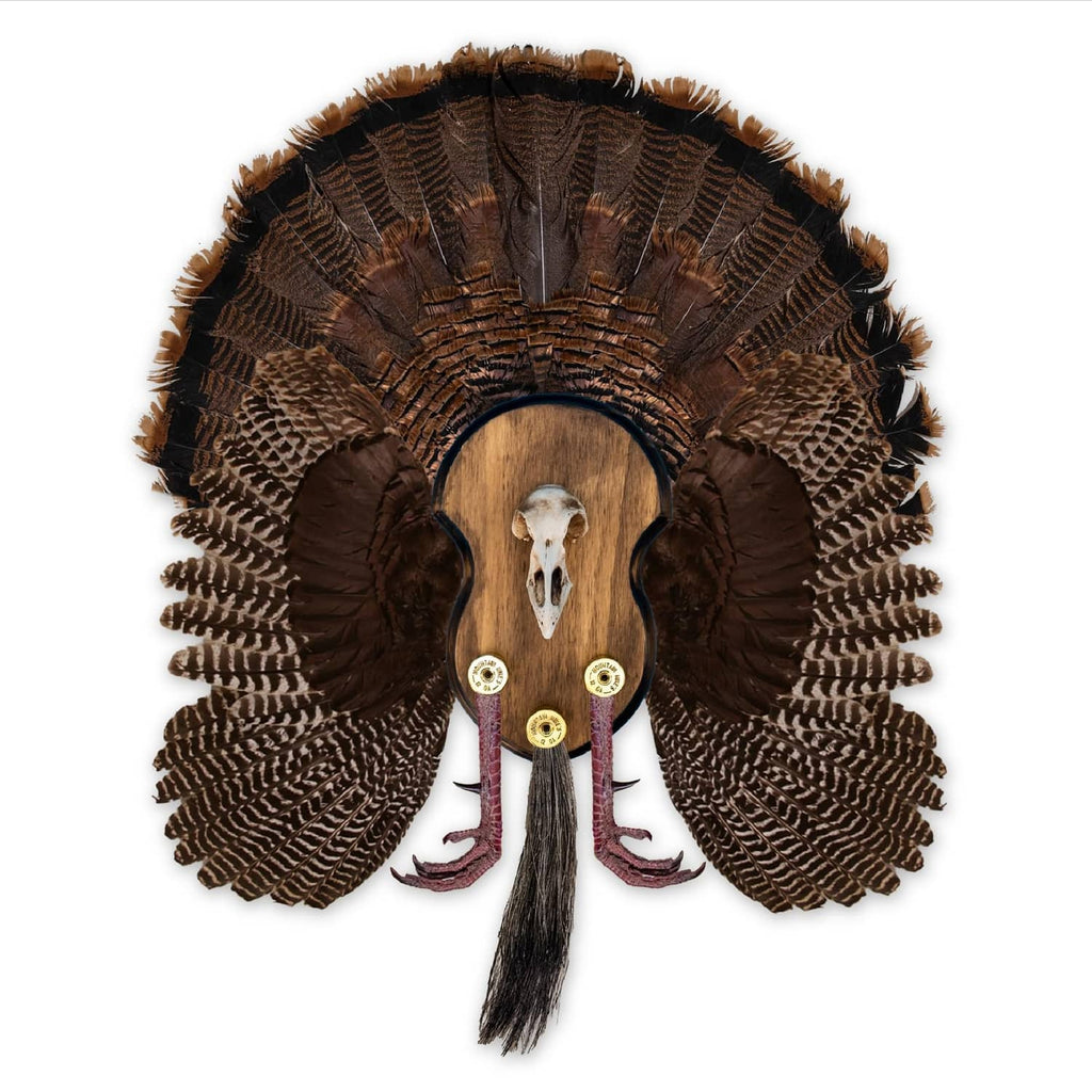 Turkey mounting plaque with realistic turkey head, feather fan, and wood base