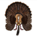 Turkey mounting plaque with realistic turkey head, feather fan, and wood base