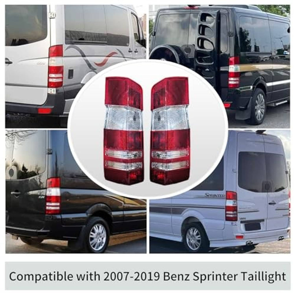 Pair of rear tail light lenses shown side-by-side in a circular highlight.