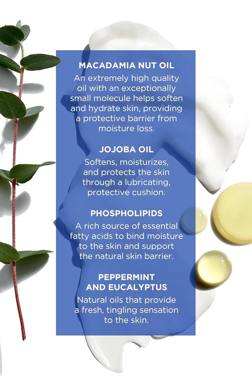 White cream swirl with blue ingredient panel listing macadamia and jojoba oils