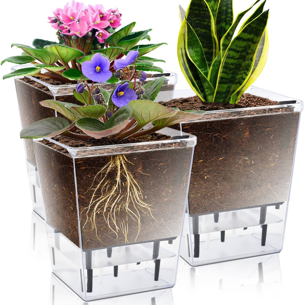 Set of three clear self-watering plant pots with dark soil and small indoor plants