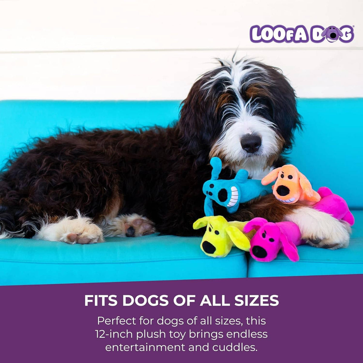 Colorful plush squeaky toy set with blue loofa dog figure and small friends