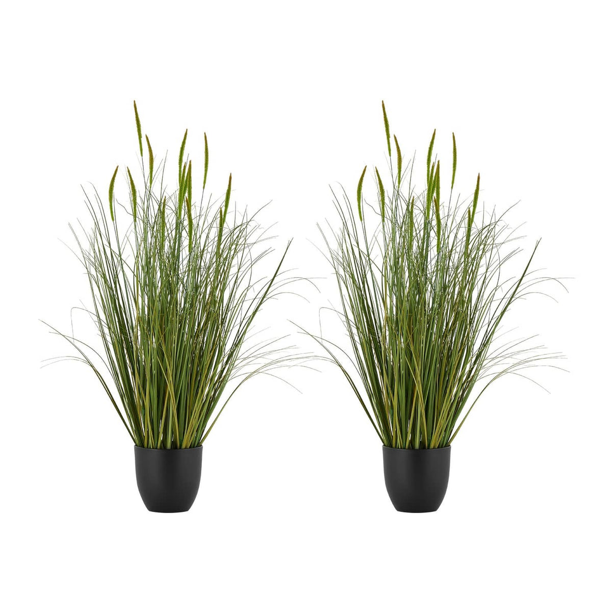 Two artificial cattail grass plants in matching black pots with green upright stems
