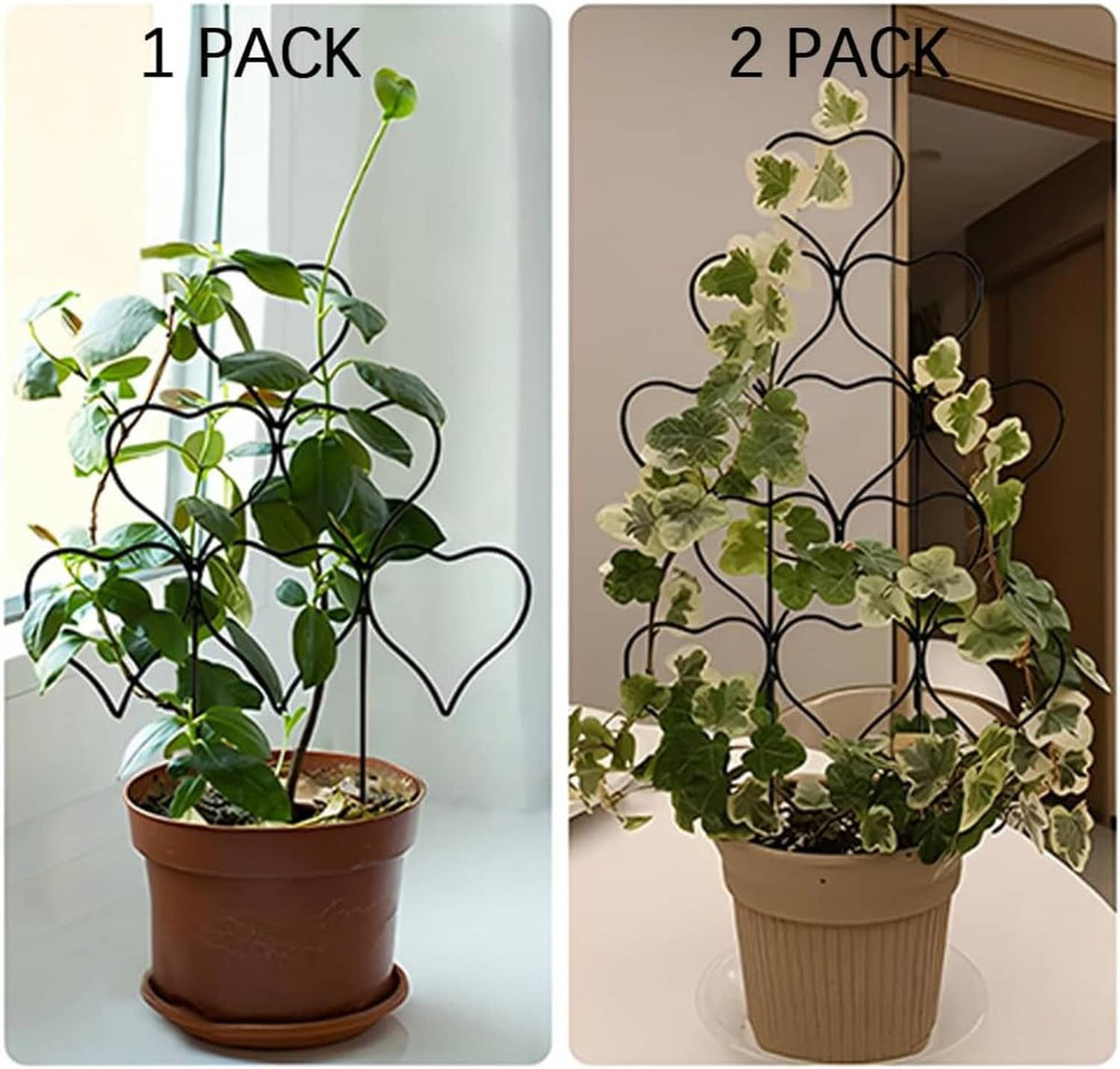 Heart-topped plant trellis on potted vines, shown in 1-pack and 2-pack