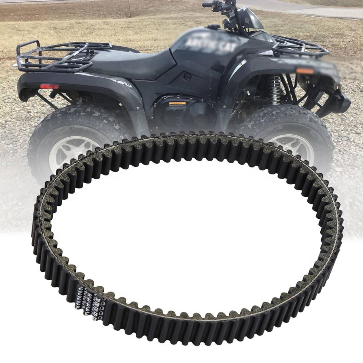 ATV drive belt looped in a circle, black ribbed teeth and worn outer edge