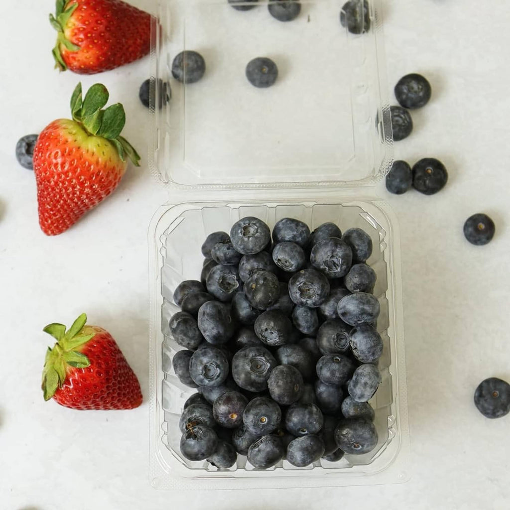 Square clear plastic berry basket with lid, filled with dark blueberries