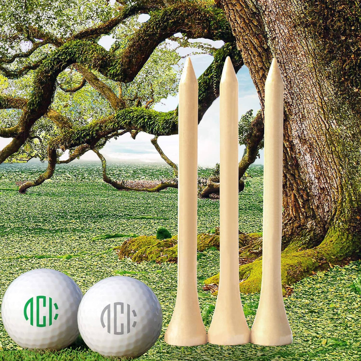 Light wood golf tees standing upright with golf balls on grass