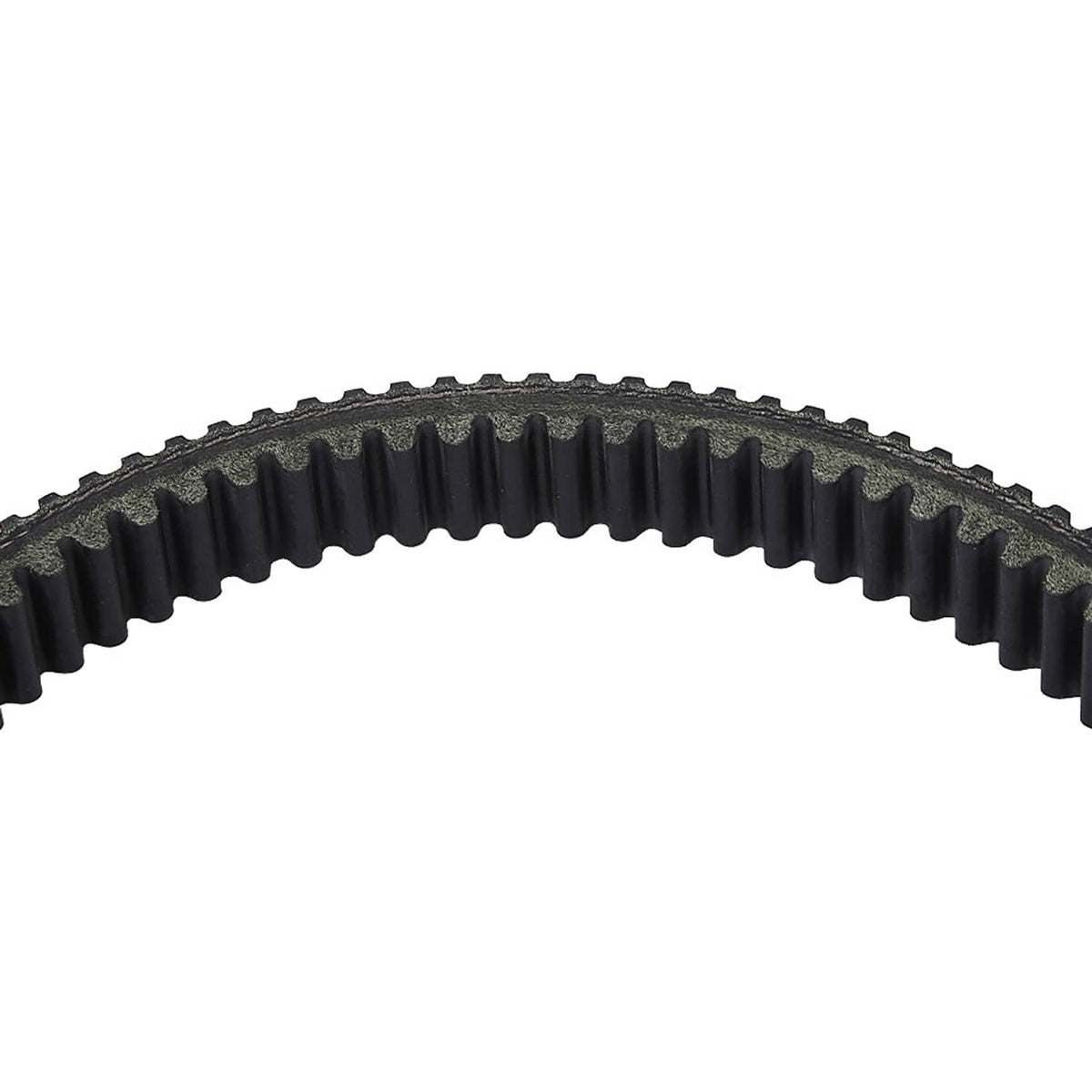 Motorcycle drive belt close-up of black cogged teeth along the top edge