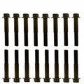 Exhaust manifold bolt kit: 16 dark metal bolts with hex heads and threaded shafts
