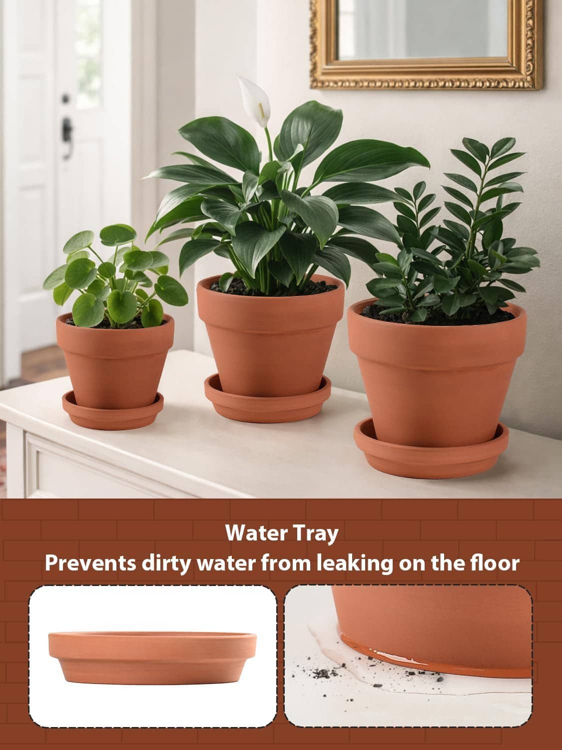 Terracotta plant pots with saucers and water tray, potted greenery on windowsill