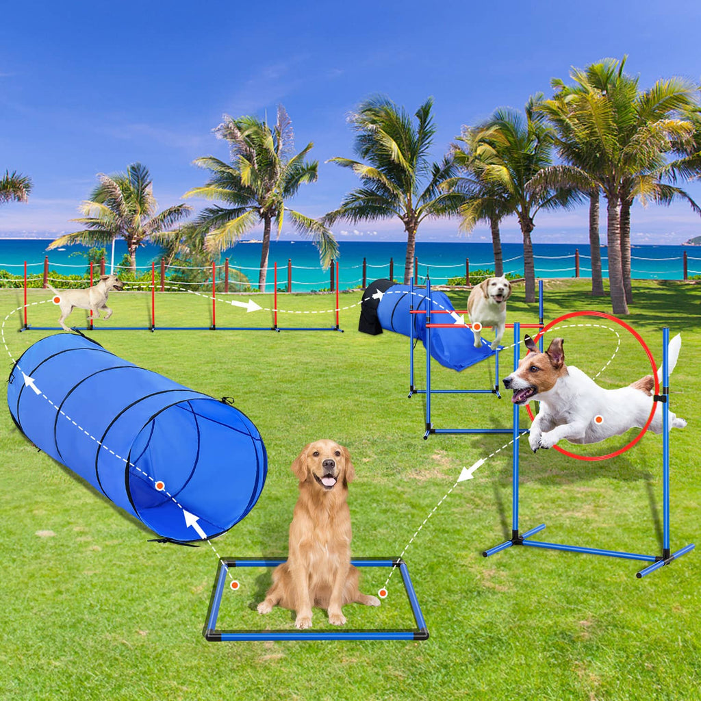Blue and black dog agility training set with tunnels, hurdles, and hoop ring