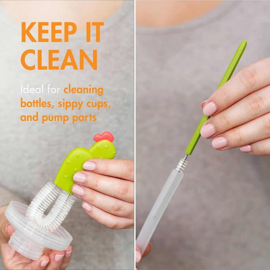 Green cactus bottle brush and small detail brush for cleaning containers