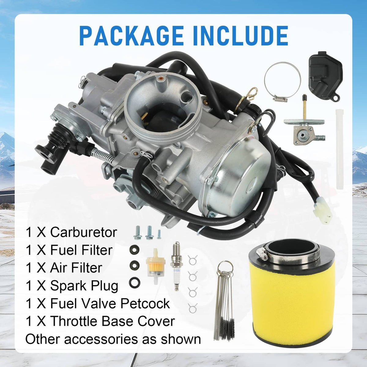Carburetor kit with fule filter, air filter element, spark plug, and fuel valve petcock