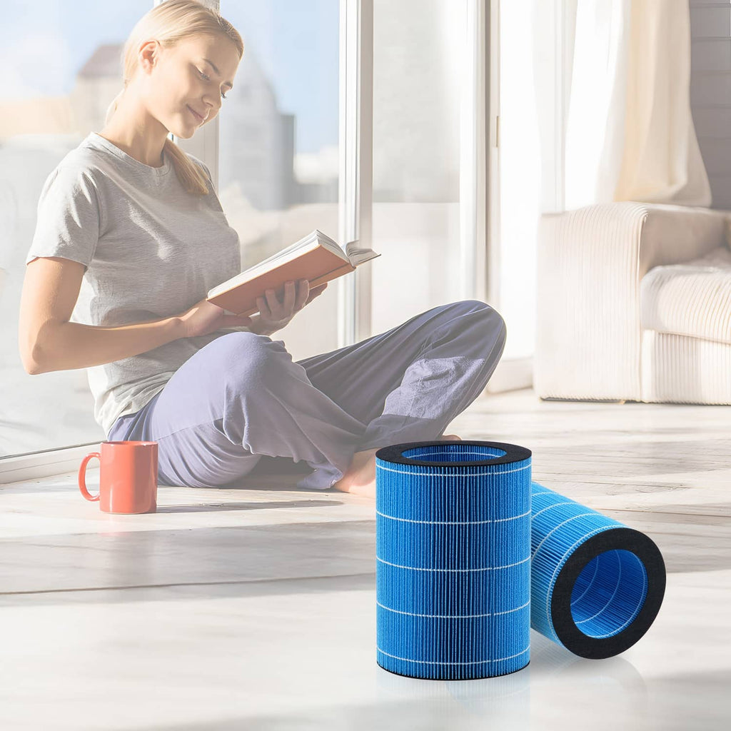 Blue pleated humidifier replacement filter cartridge with matching second cartridge