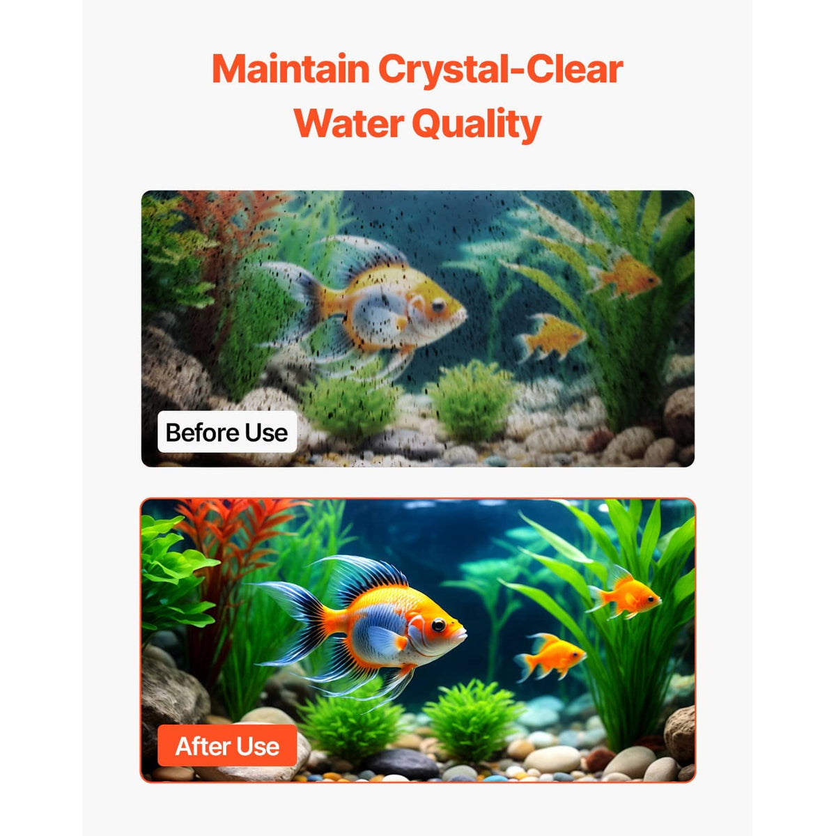 Aquarium water quality before-and-after scenes with fish