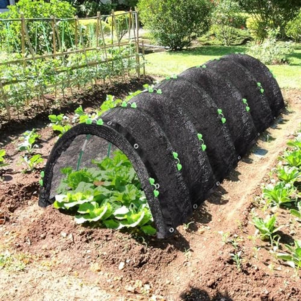 Garden shade cloth with hoops on vegetable bed, dark fabric tunnel with green clips on arches