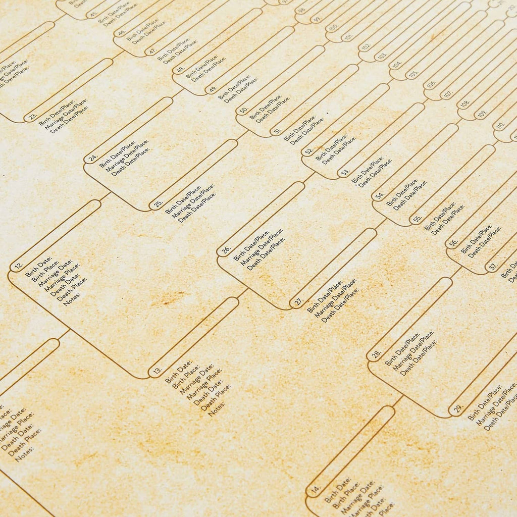 Off-white pedigree chart close-up with repeating rows for names and dates