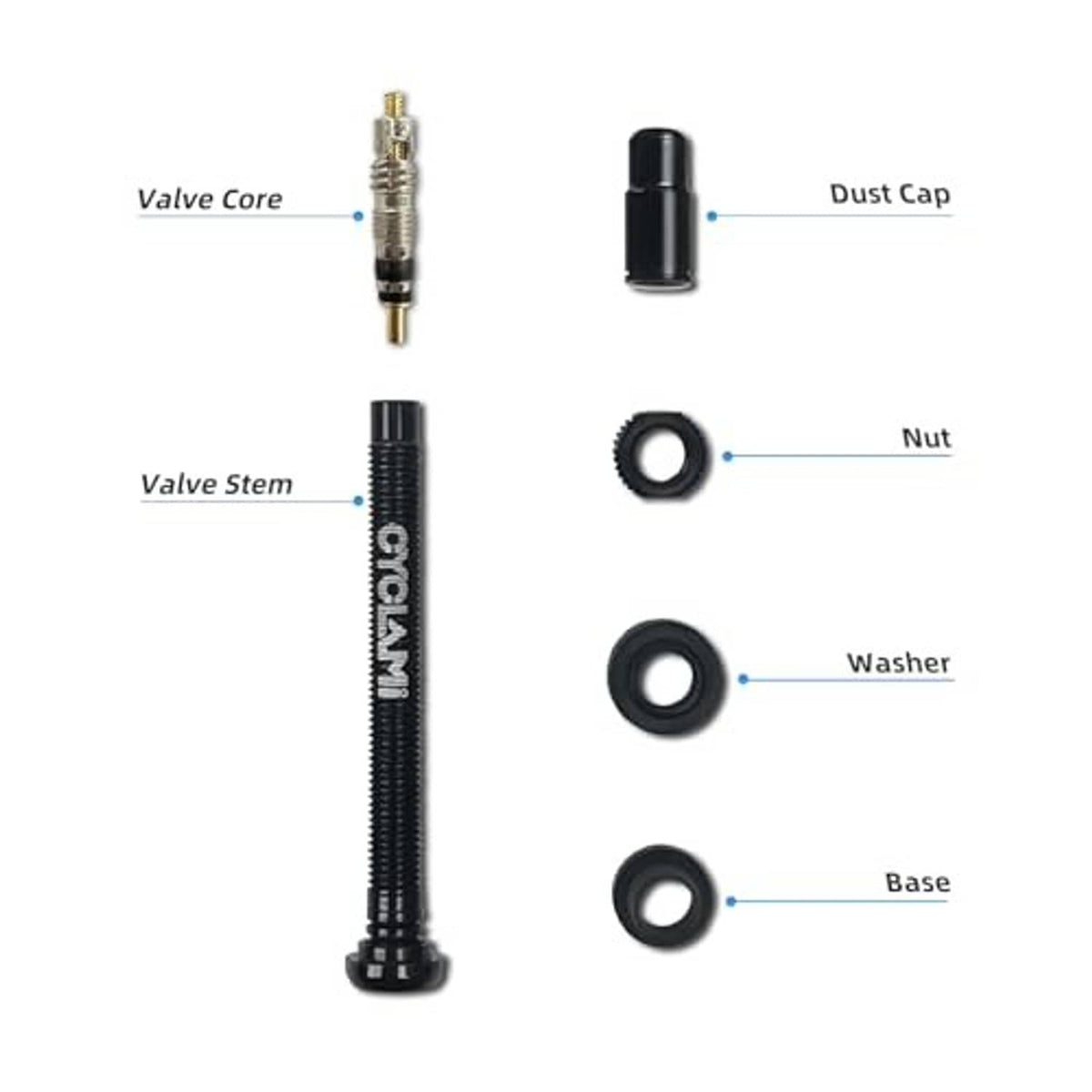 Presta tubeless valve stem kit parts: valve core, dust cap, nut, washers, base