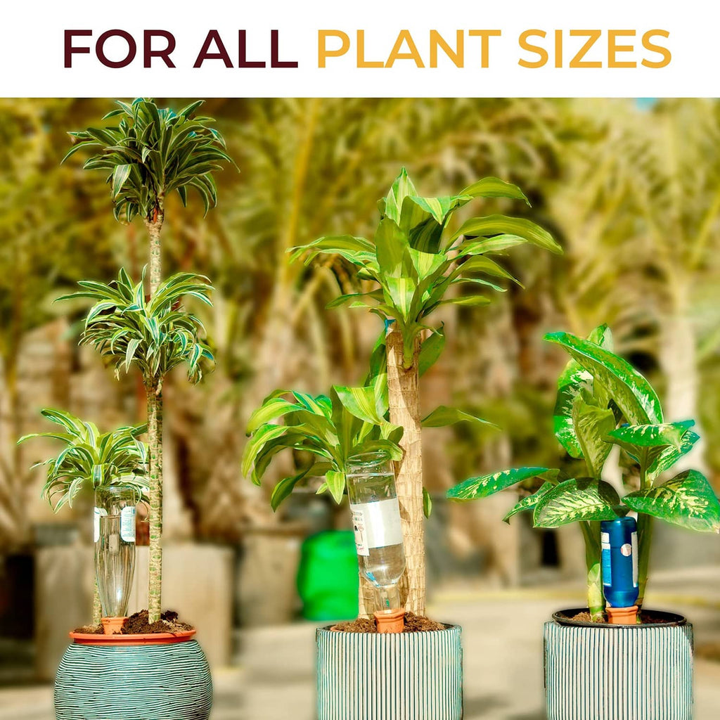Self-watering spikes with terra-cotta bases in multiple potted plants