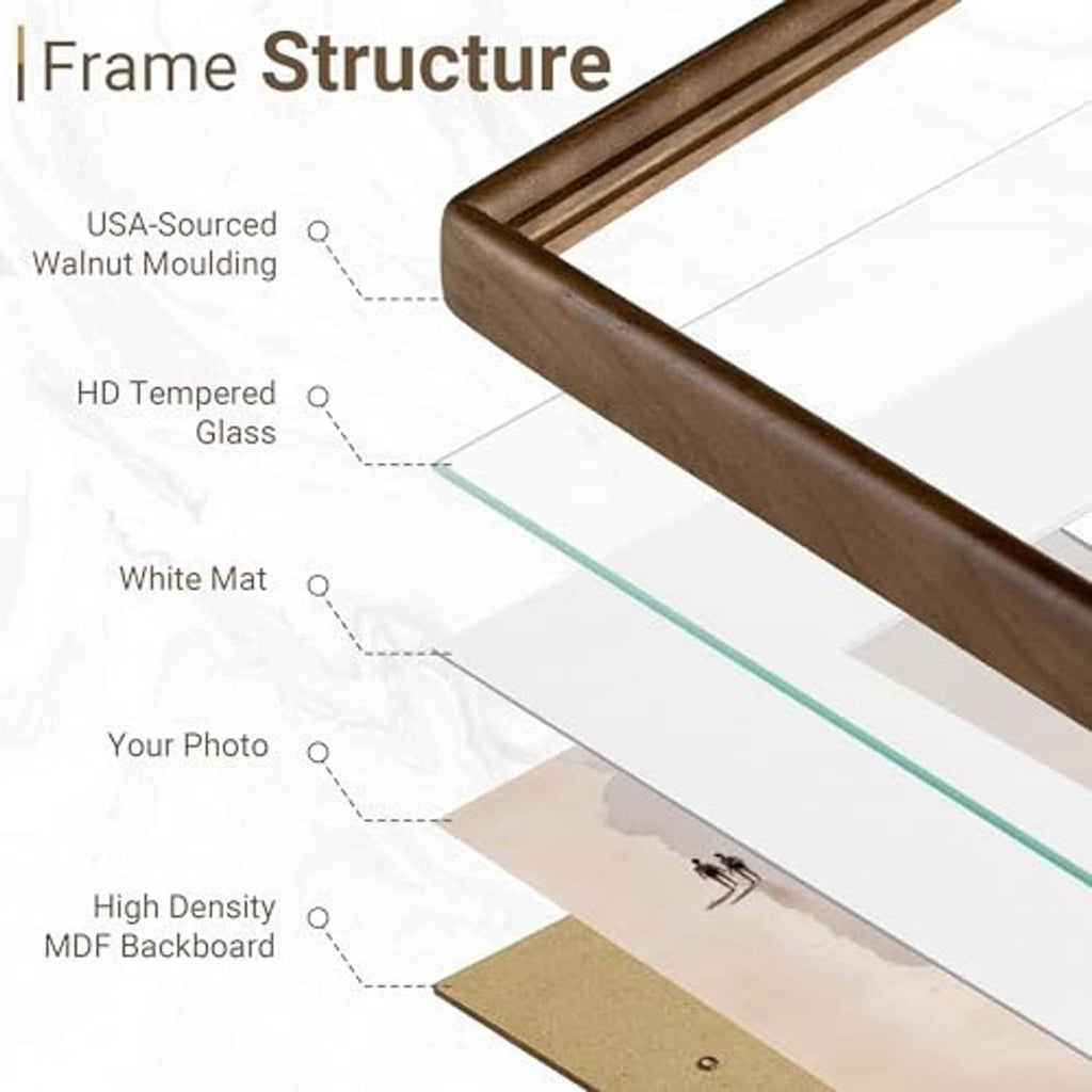 Picture frame cross-section showing walnut frame, tempered glass, white mat, and backing