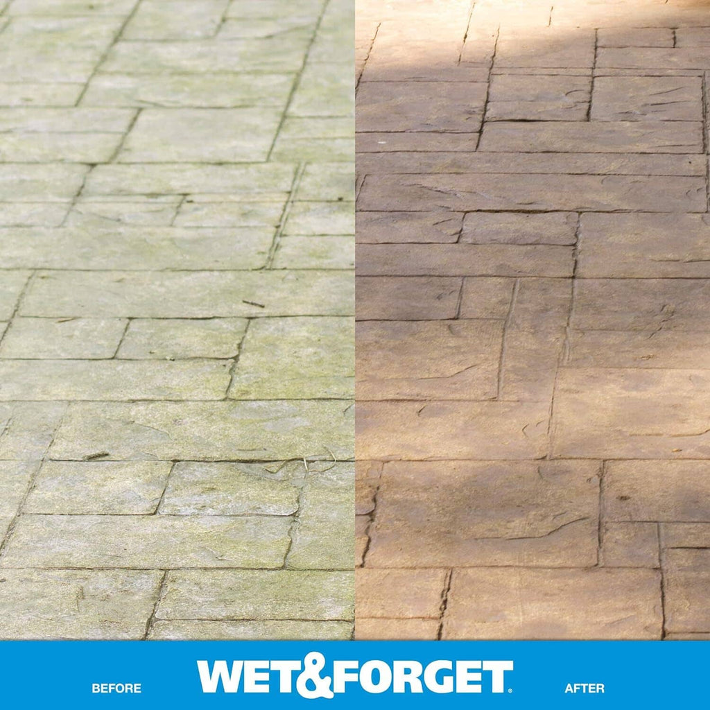 Flagstone patio pavers with green moss staining across the surface