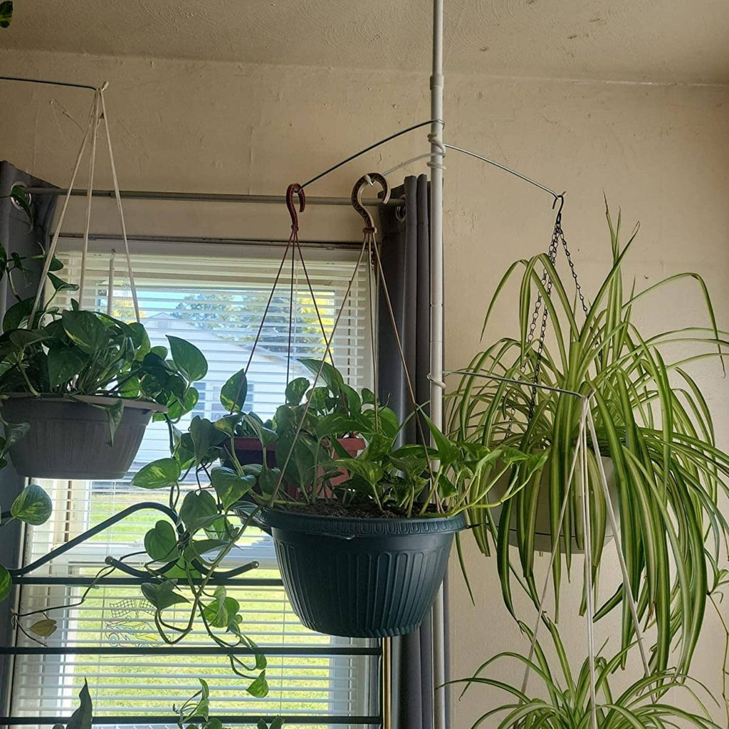 Ceiling-to-window spring tension rod with three arms holding multiple potted plants