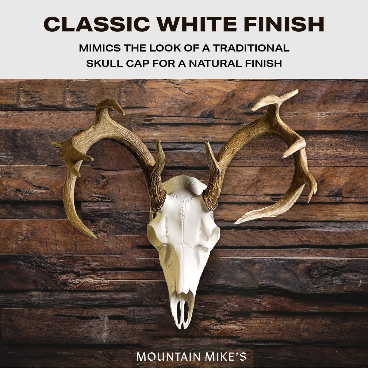 Classic white antler mounting kit with white skull plate and brown antler spreaders.