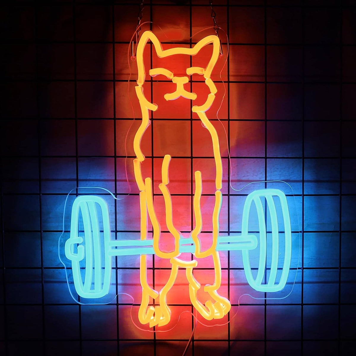 Neon cat lifting barbell sign, orange cat outline with blue weights on grid wall