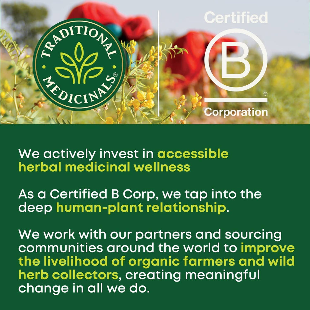 Herbal tea box panel with Certified B Corporation logo and Traditional Medicinals branding