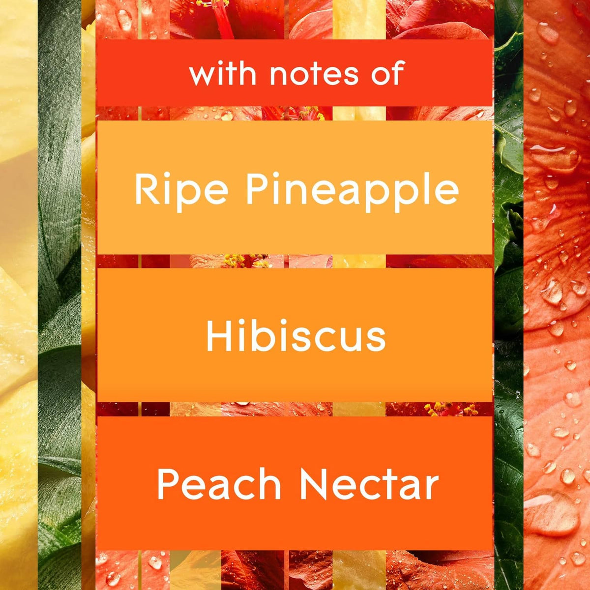 Glade fragrance notes panel: ripe pineapple, hibiscus, and peach nectar