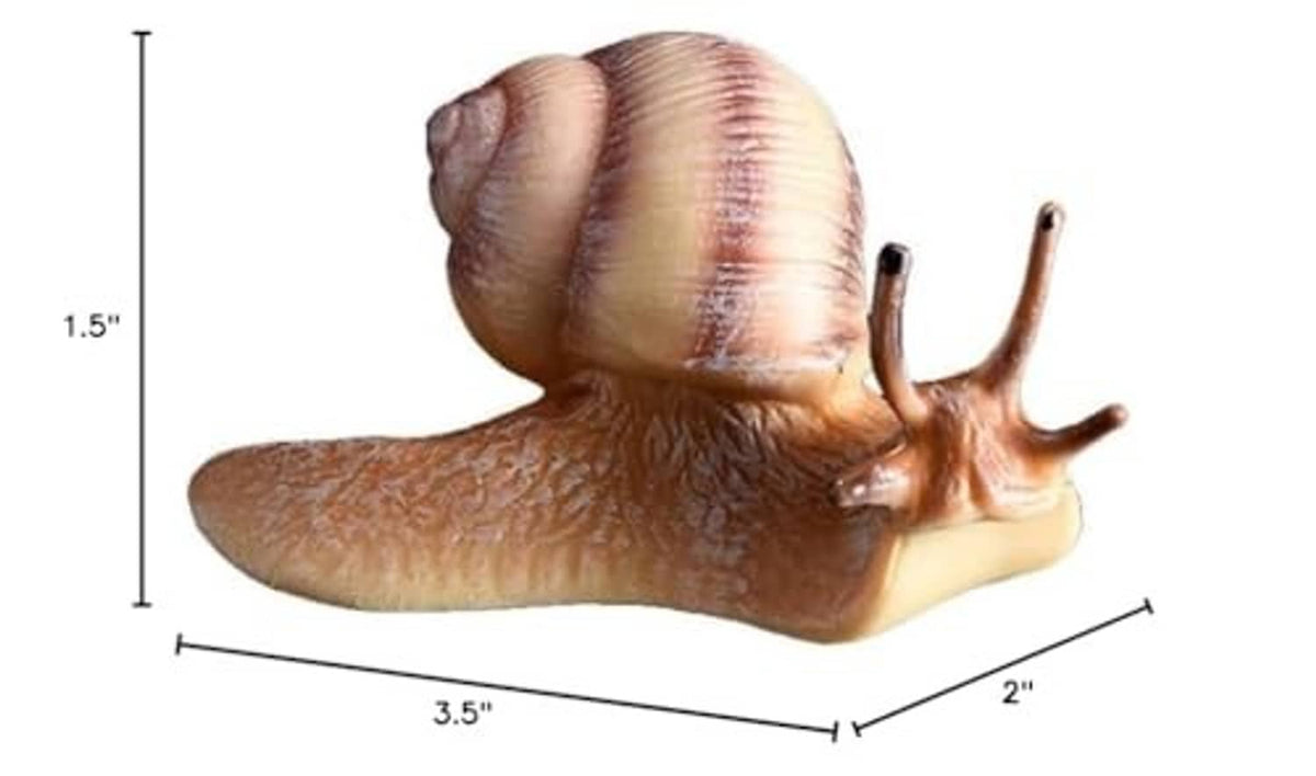 Realistic snail figurine with size measurements shown; brown spiral shell and curled body.