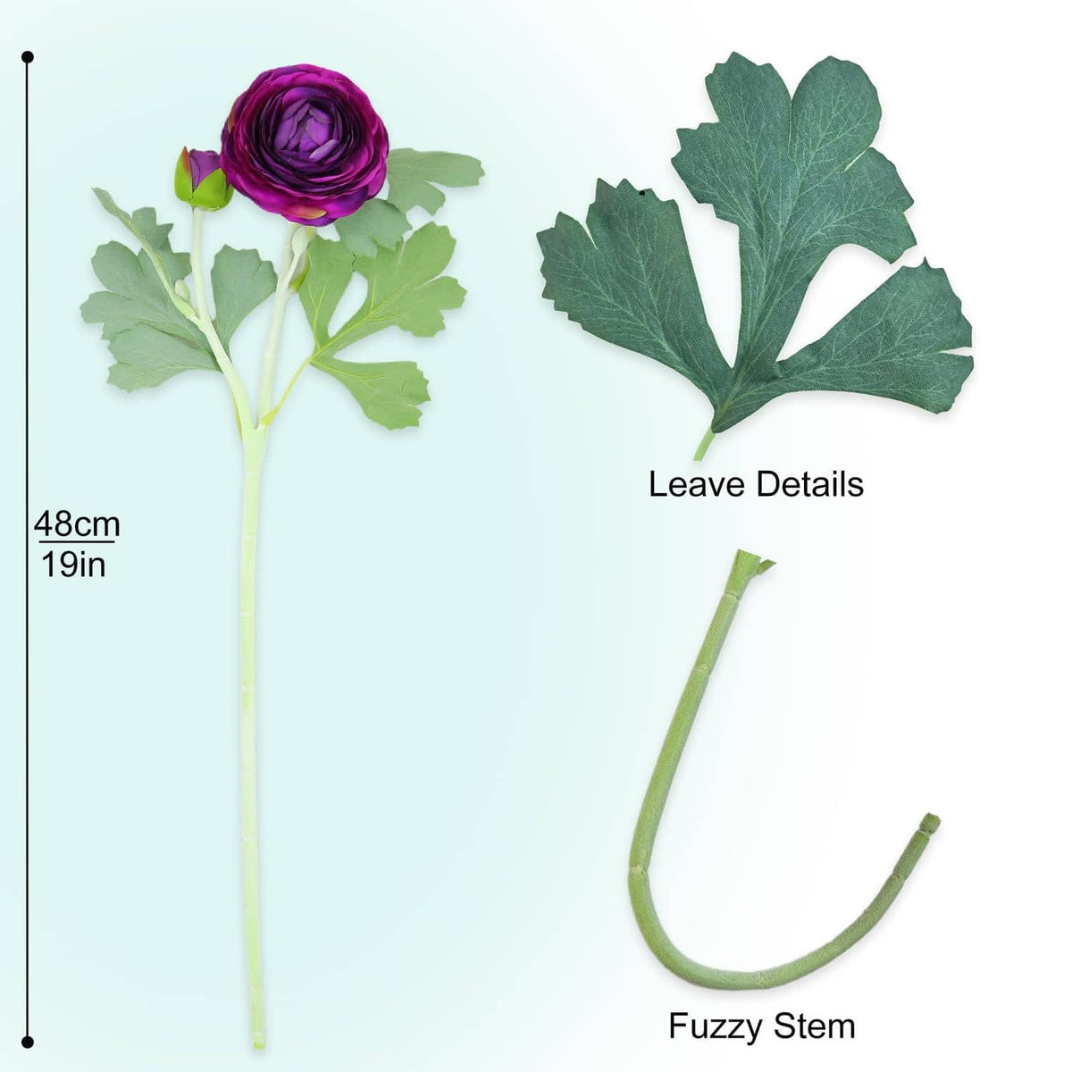Purple ranunculus stem with fuzzy green stem and detailed green leaves