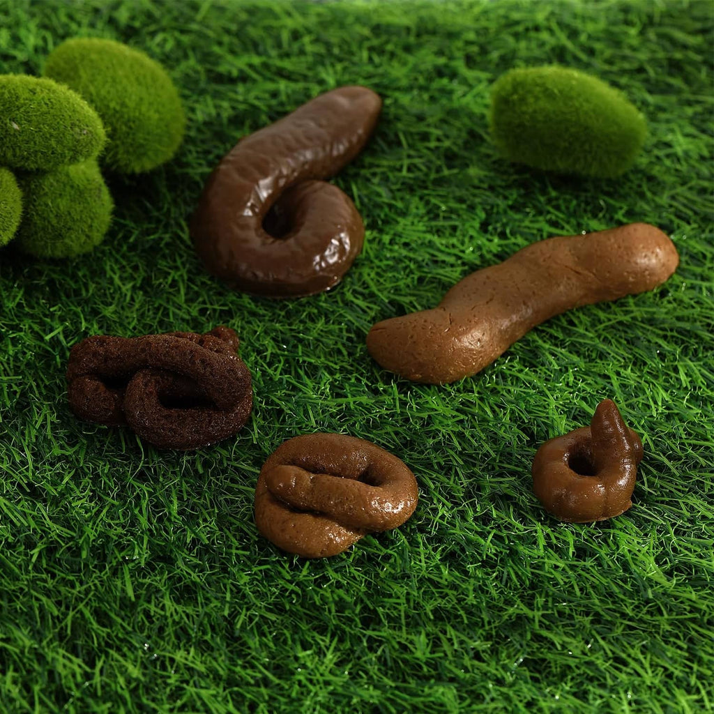 Realistic fake poop pieces on green grass, assorted dark brown