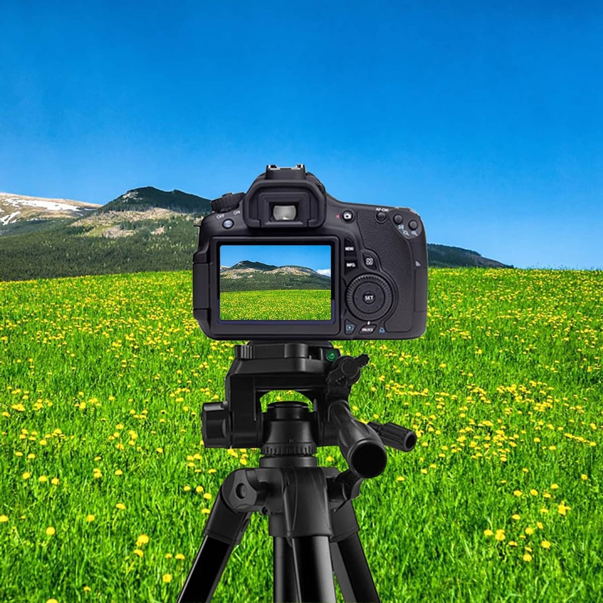 Black tripod quick release plate attached under camera with textured grip surface