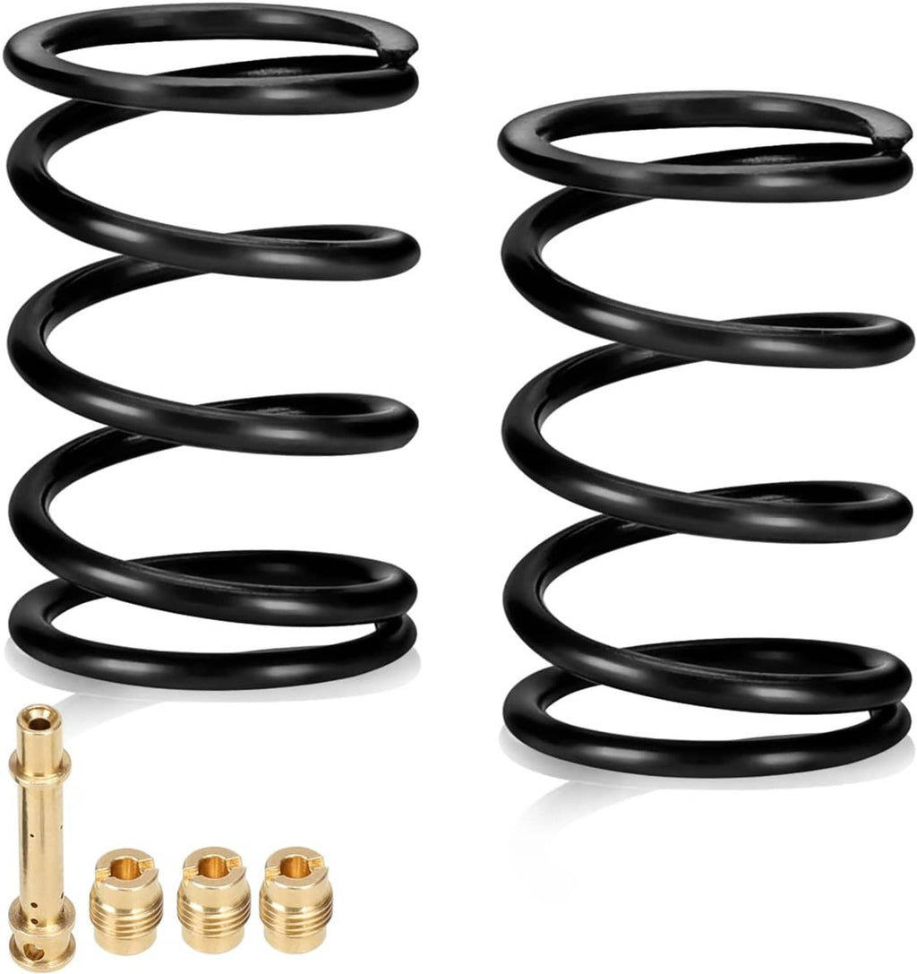 Pair of black valve springs with brass retainers, neatly arranged for parts kit display