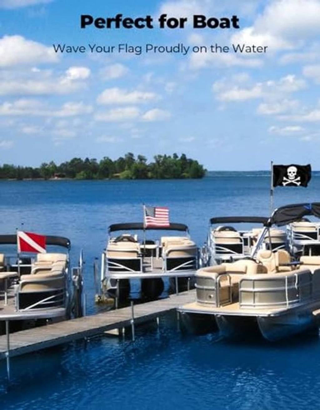 Boat flag holder with stainless pole and black mounting clamps