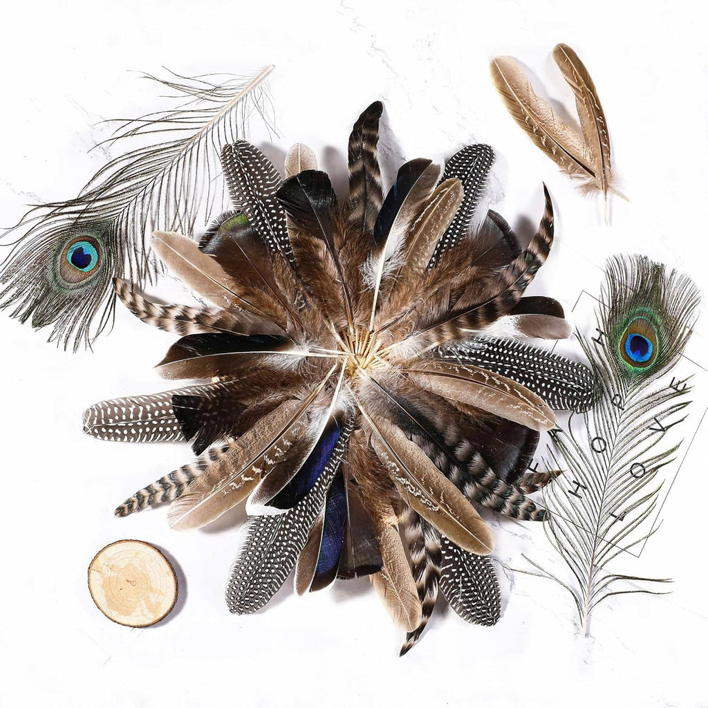 Natural feather assortment with peacock eye, striped feathers, and brown plume tips